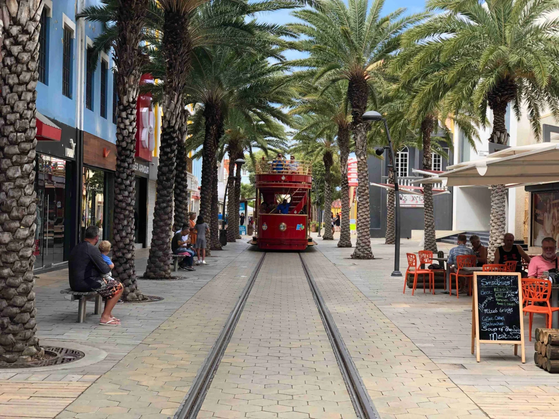 PalmLinedStreetWithTram zLDcCzQ scaled