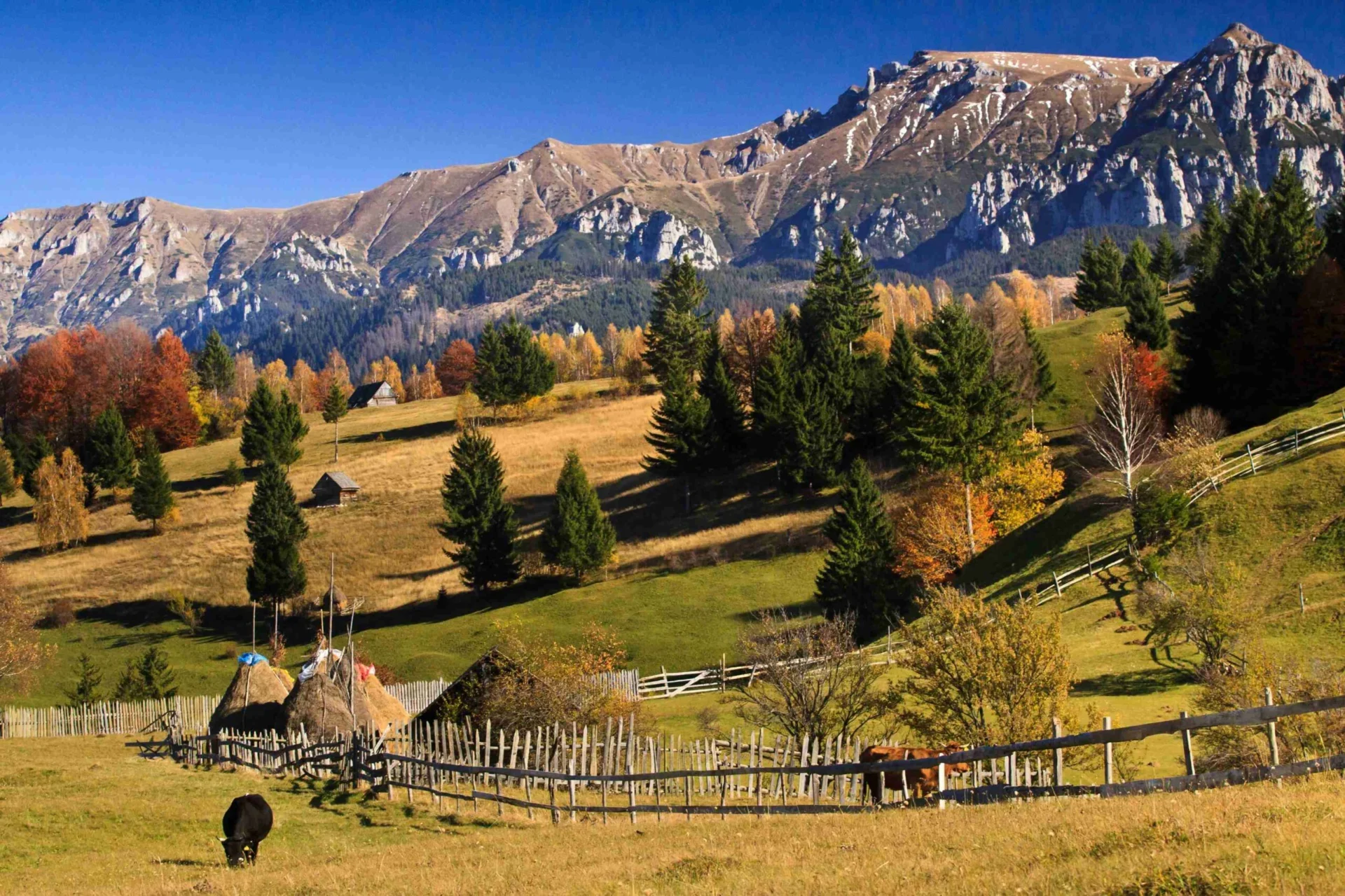Autumn Season at Fairytale Castle Aerial View