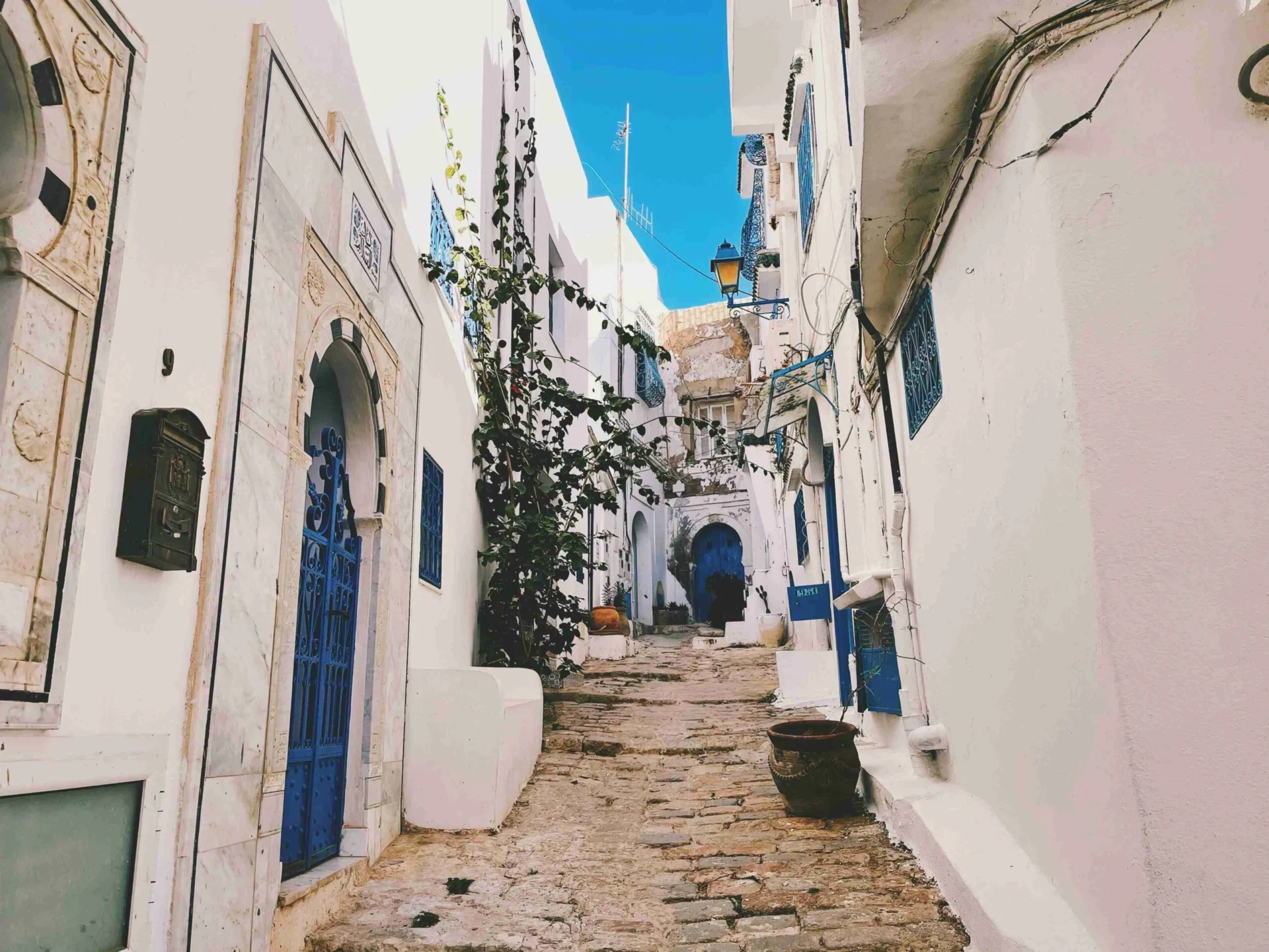white-windmills-under-blue-sky-during-daytime