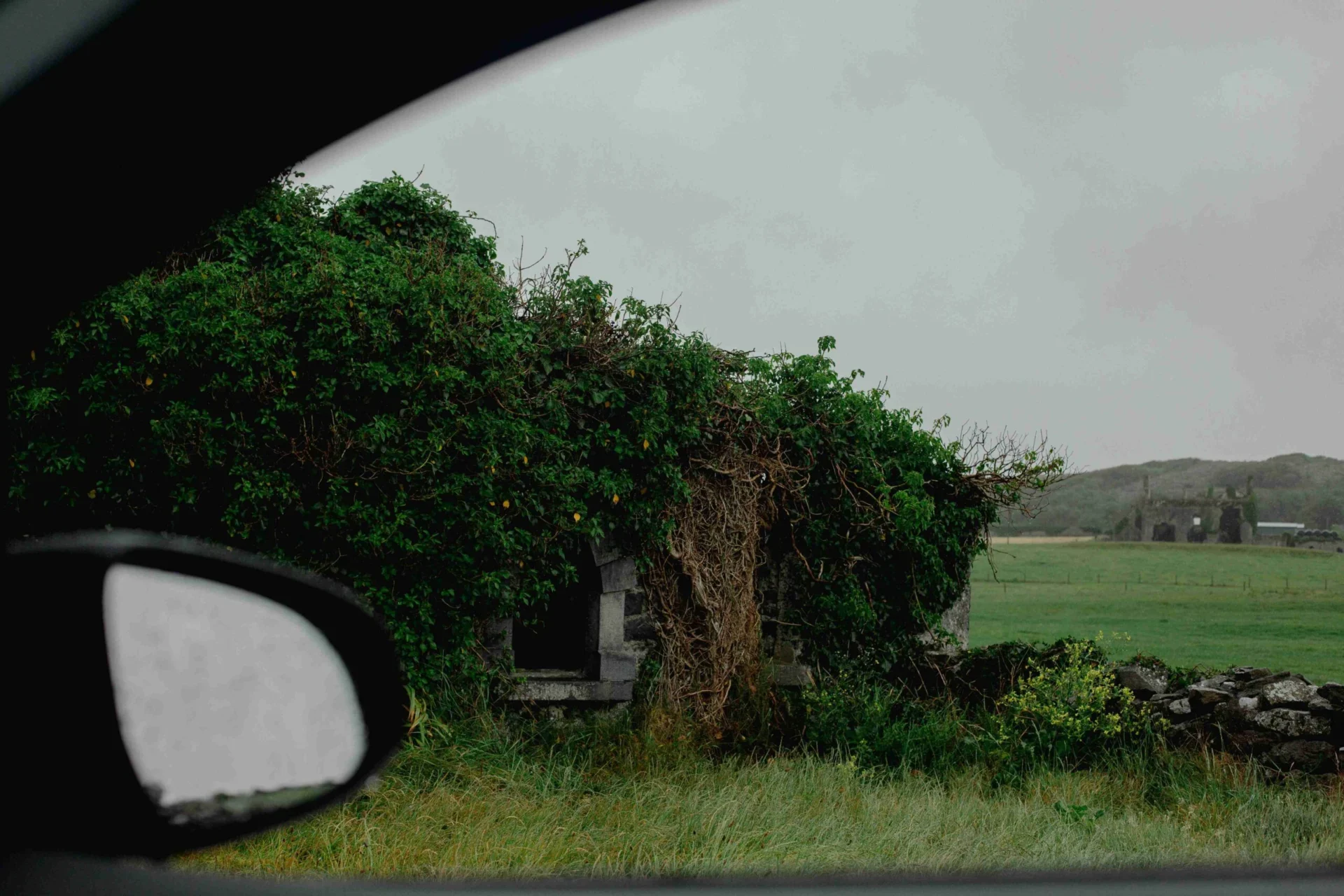 asphalt road and grass field scenery