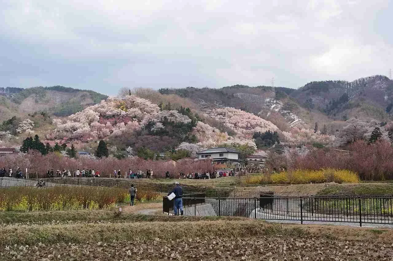 Kakunodate, Semboku City, Akita Prefecture
