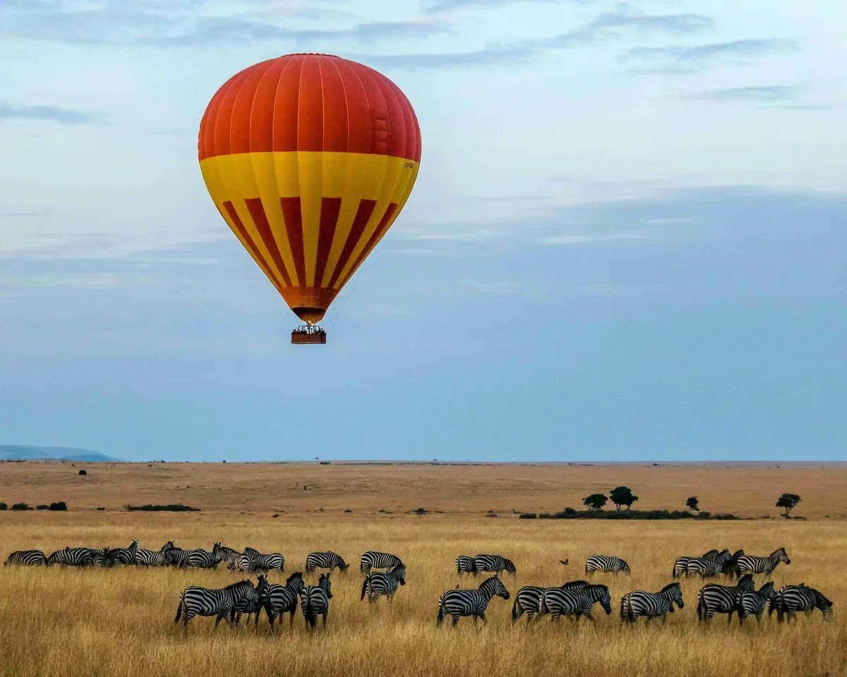 Zebras and Hot Air Balloon on Savannah UnolDNR
