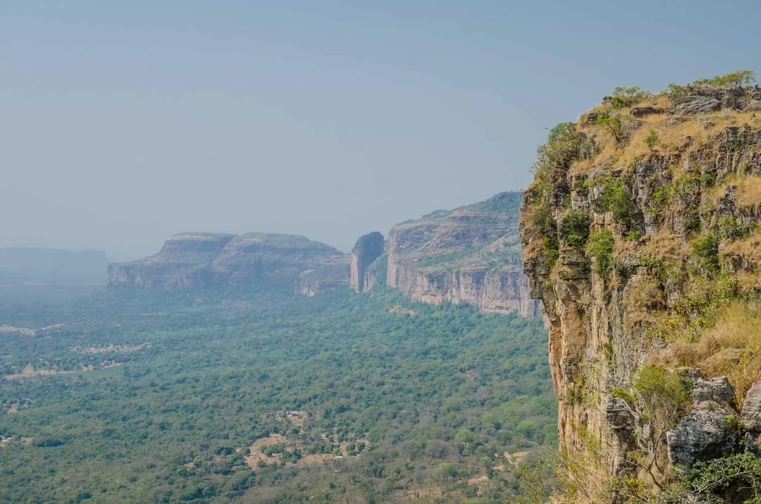 guinea bg