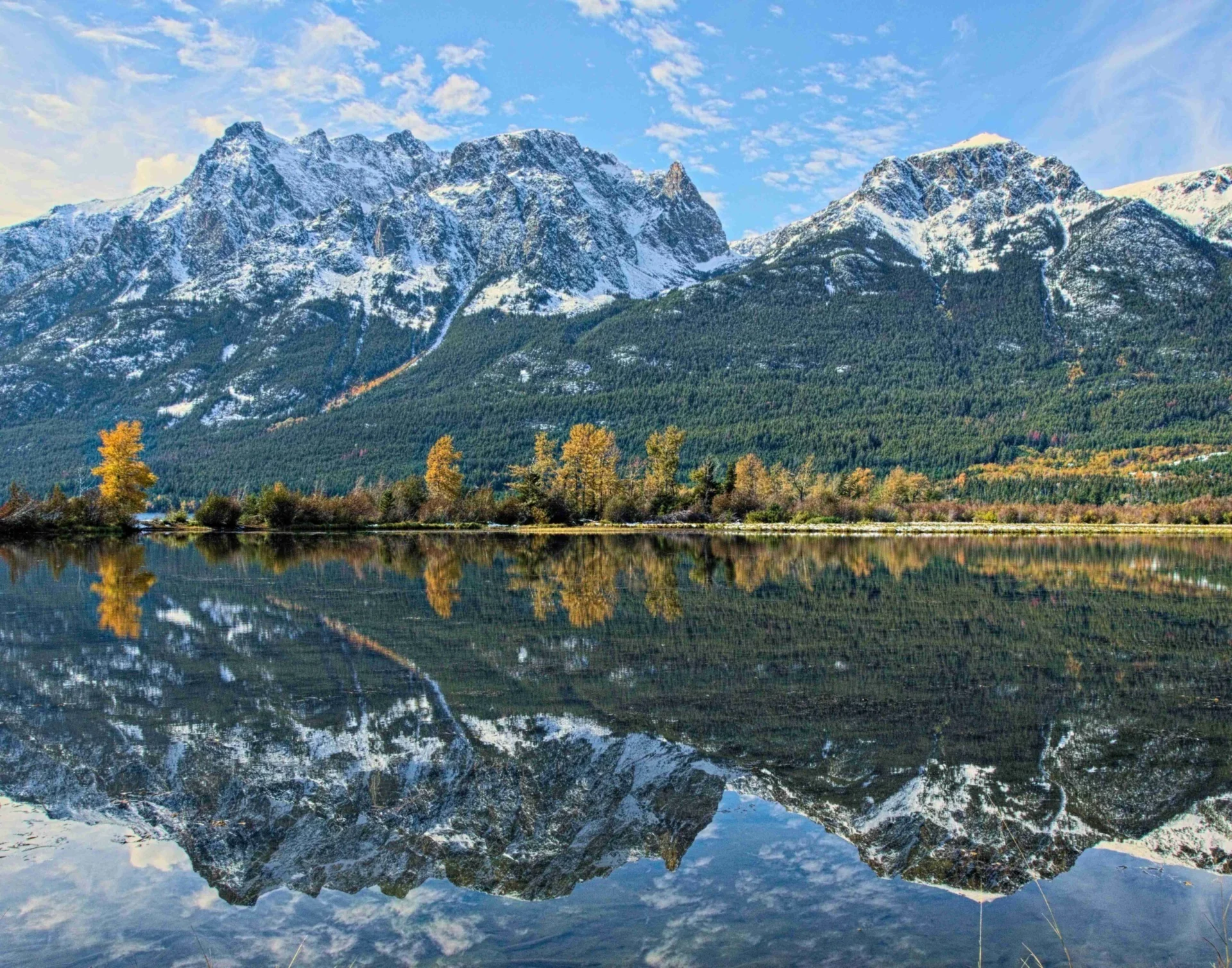 green trees near lake
