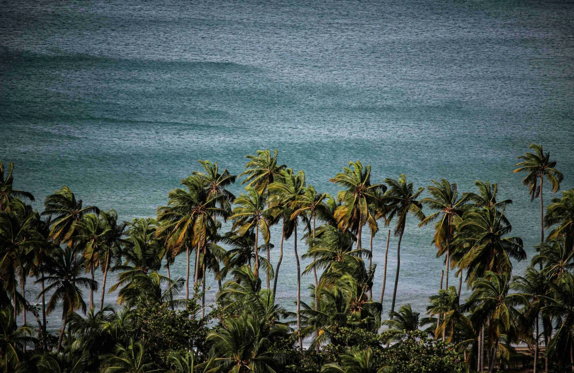 a-boat-on-a-beach-with-palm-trees