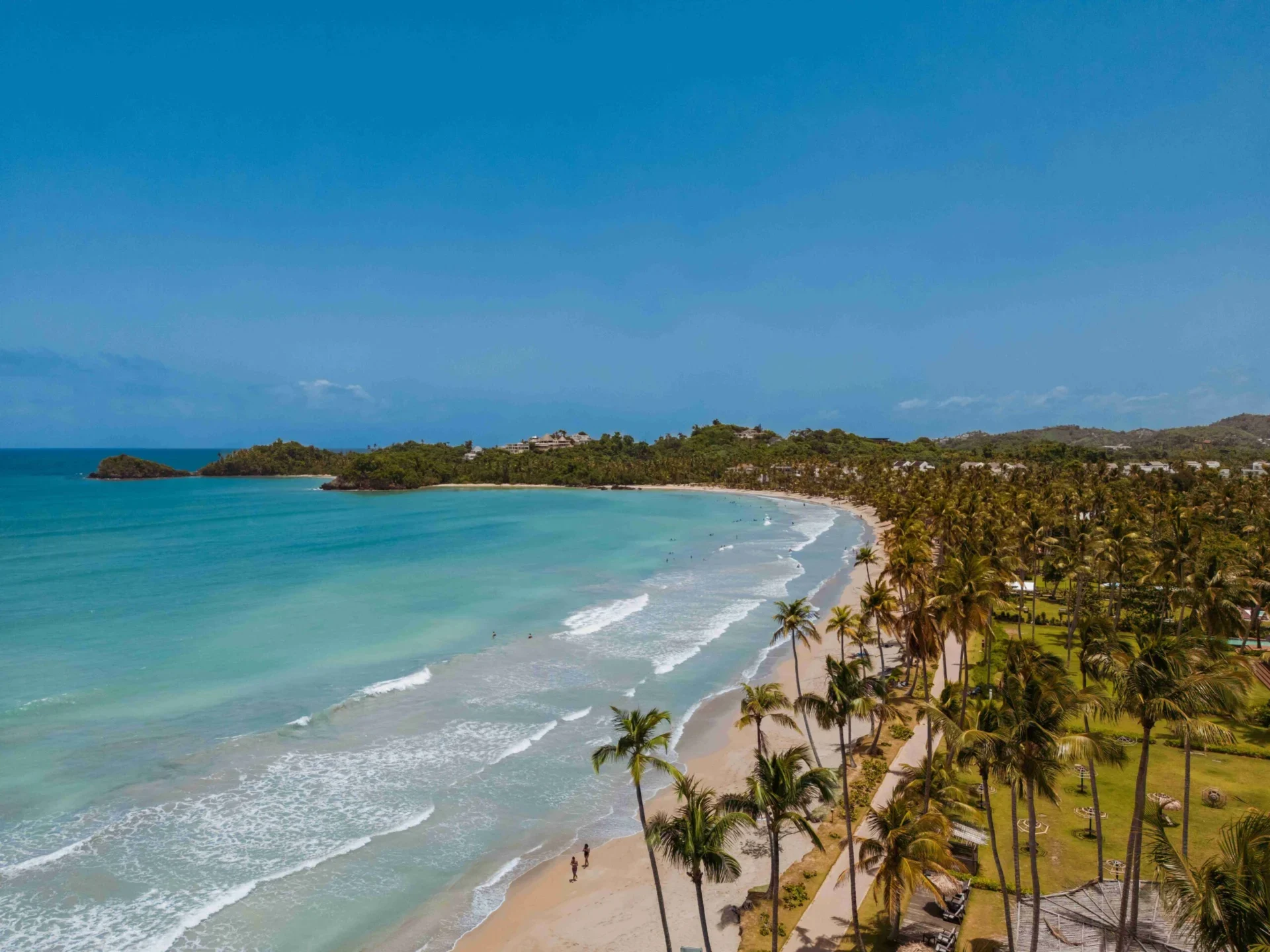 an-aerial-view-of-a-beach-with-palm-trees