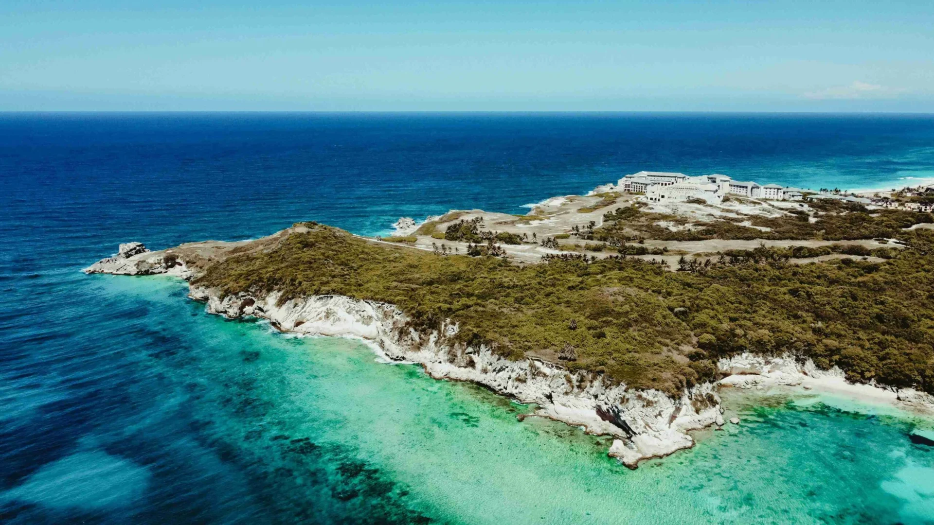 Serenity_Coastline_Aerial_View_with_Palm_Trees