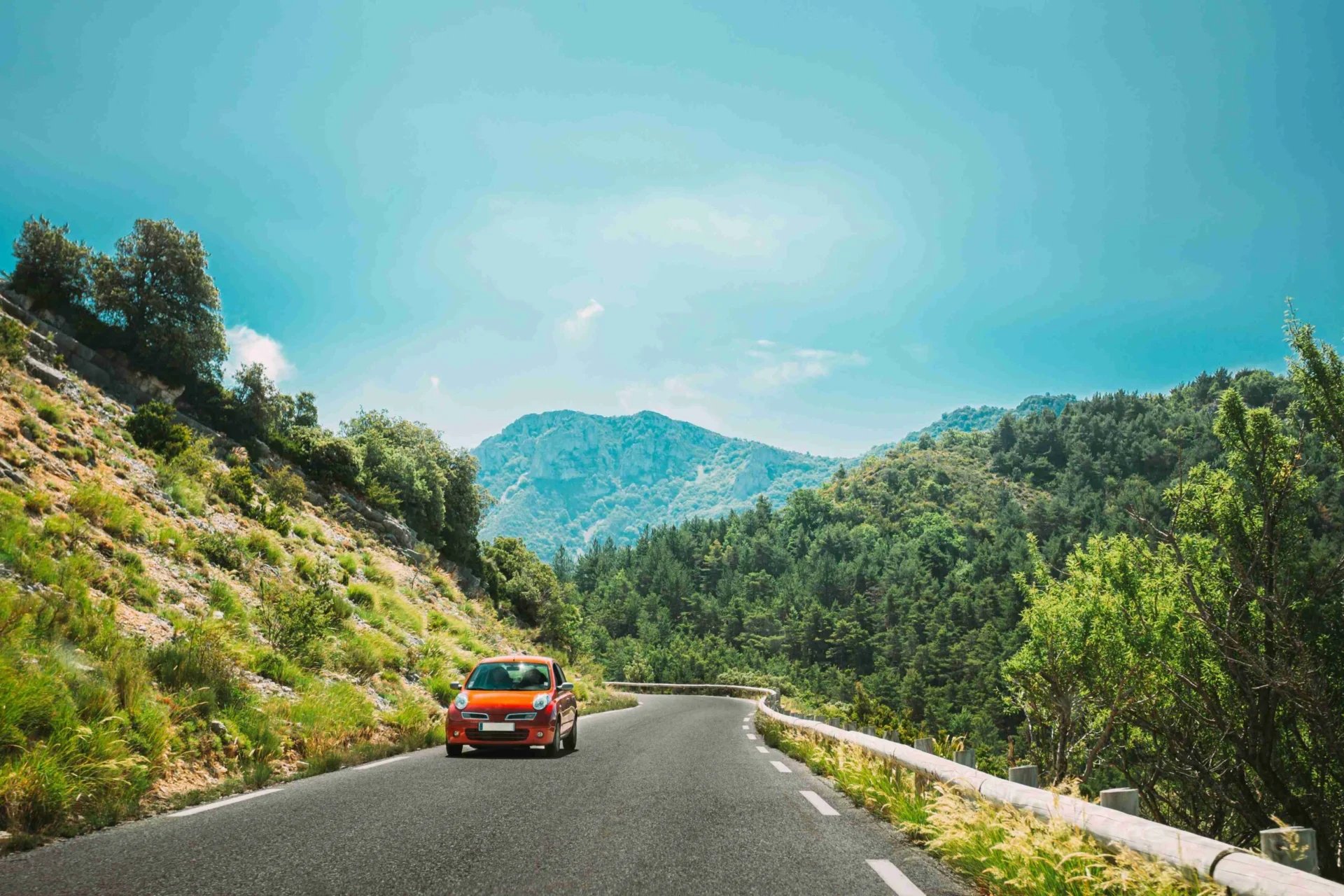 Car insurance form with model and policy document