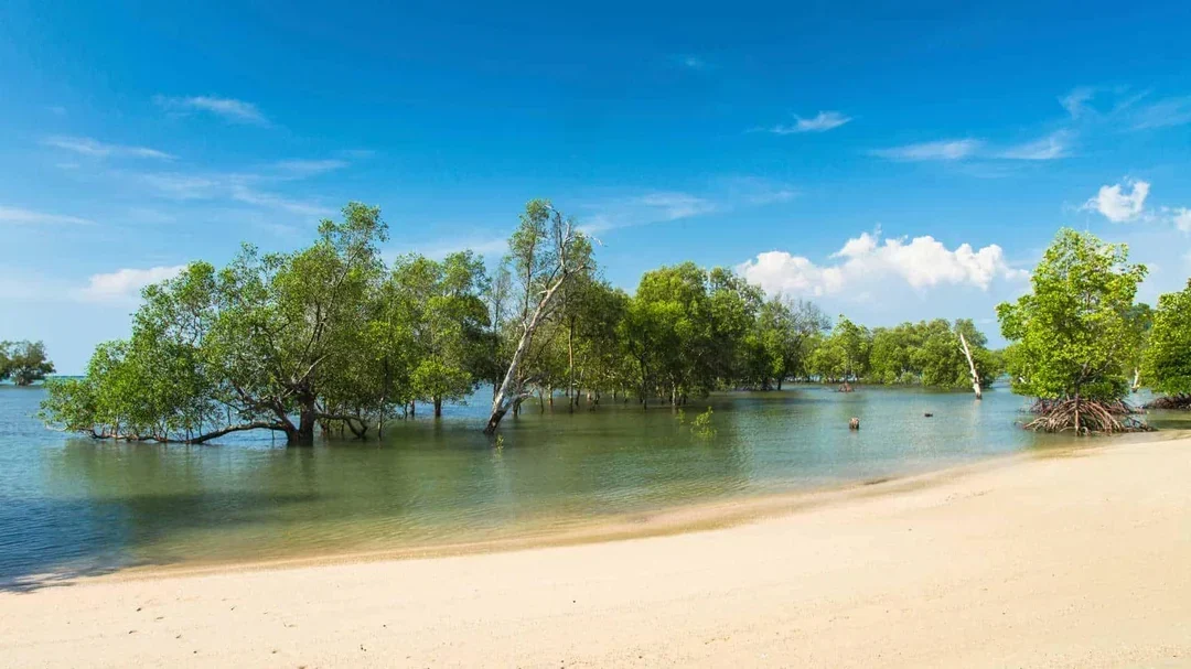 mozambique bg