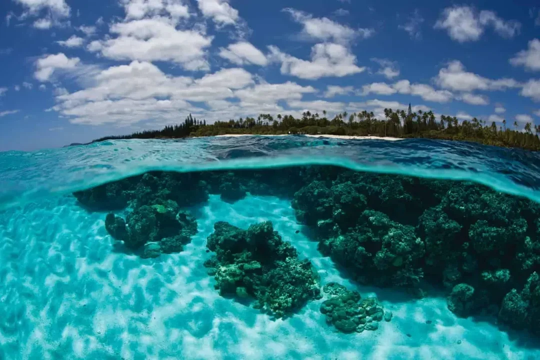 new caledonia