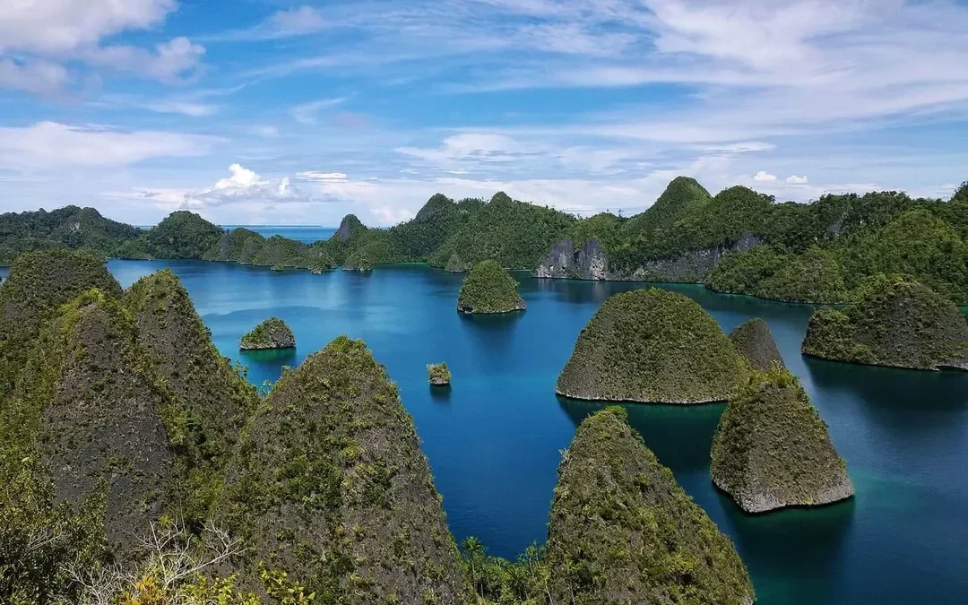 new guinea