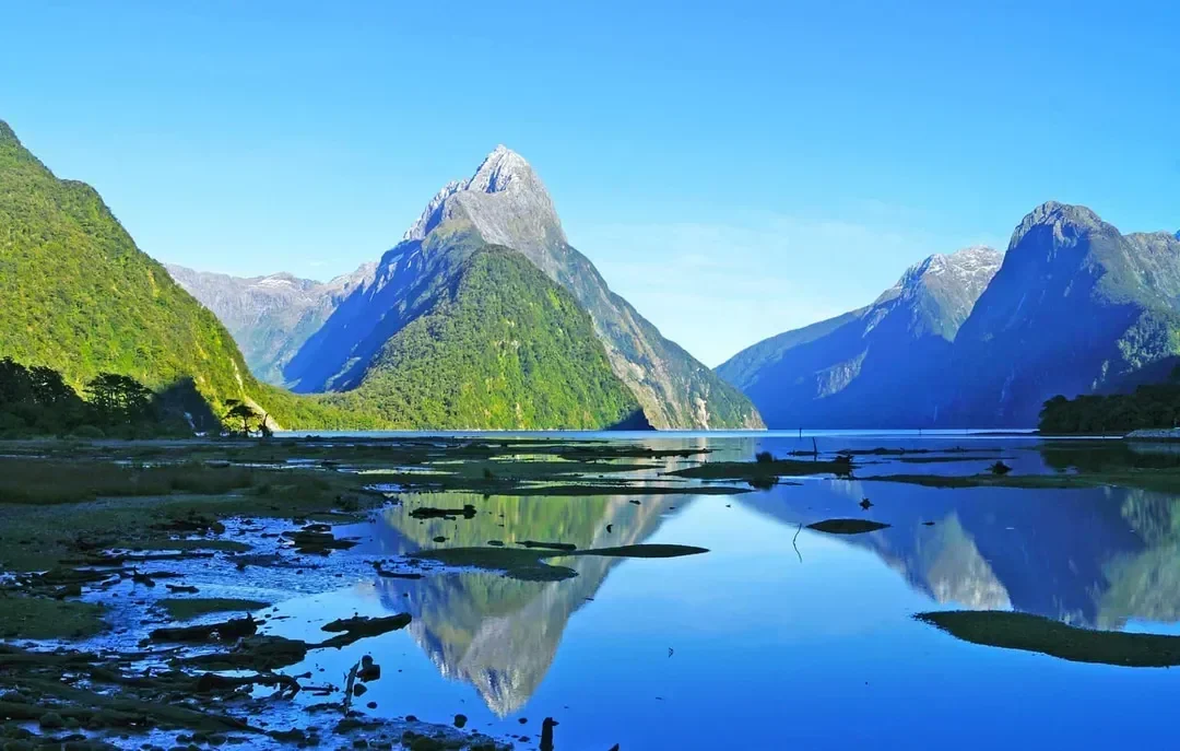 new zealand