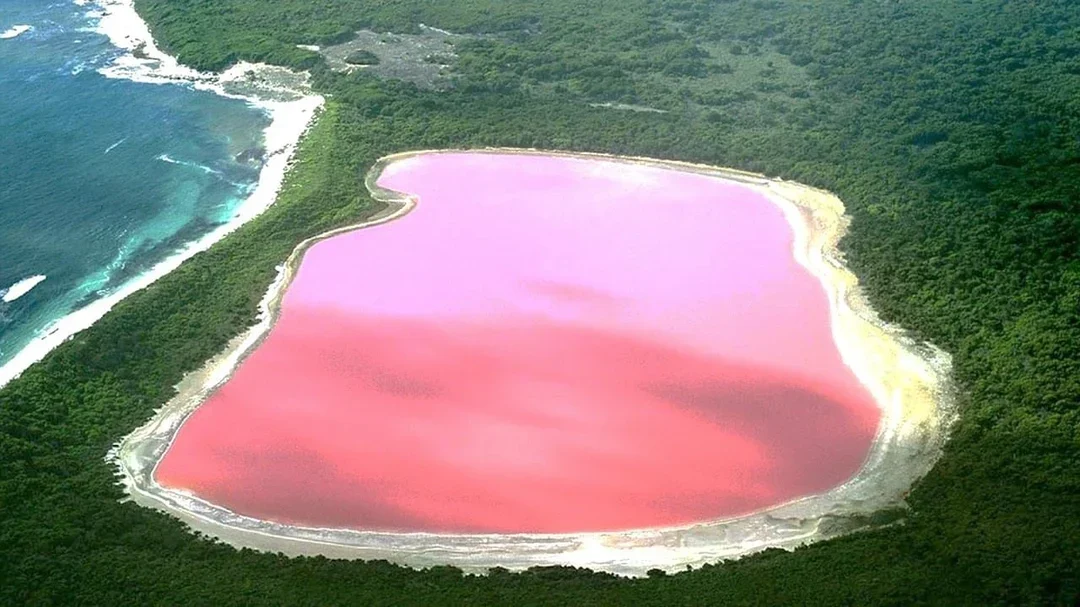 senegal bg