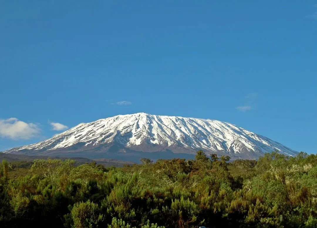 tanzania bg